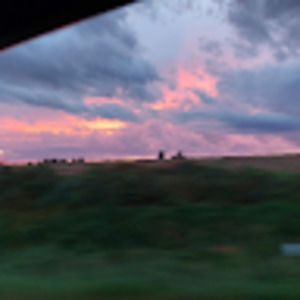 Meet your Posher, Donald